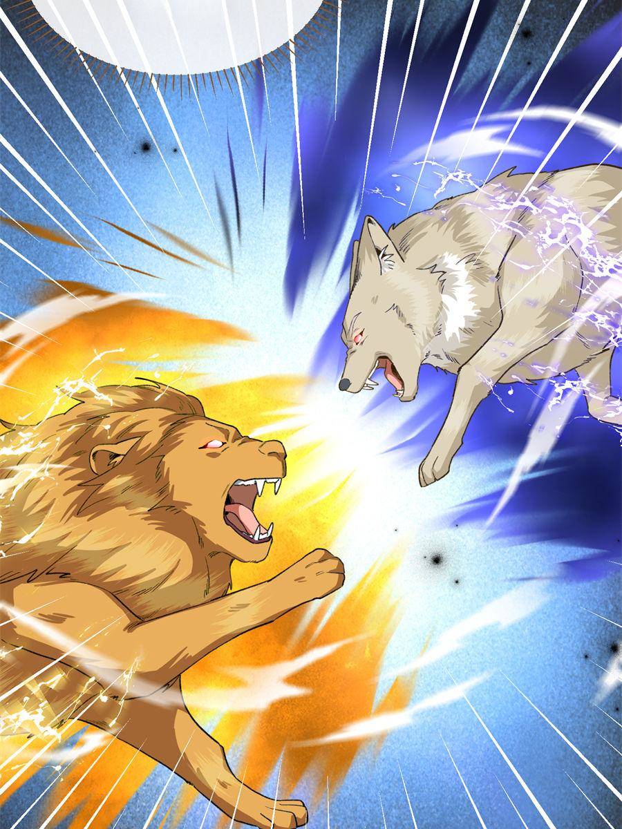 81490485 900 1200 186116